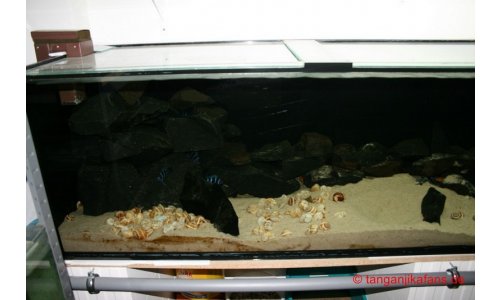 Schaubecken 900l